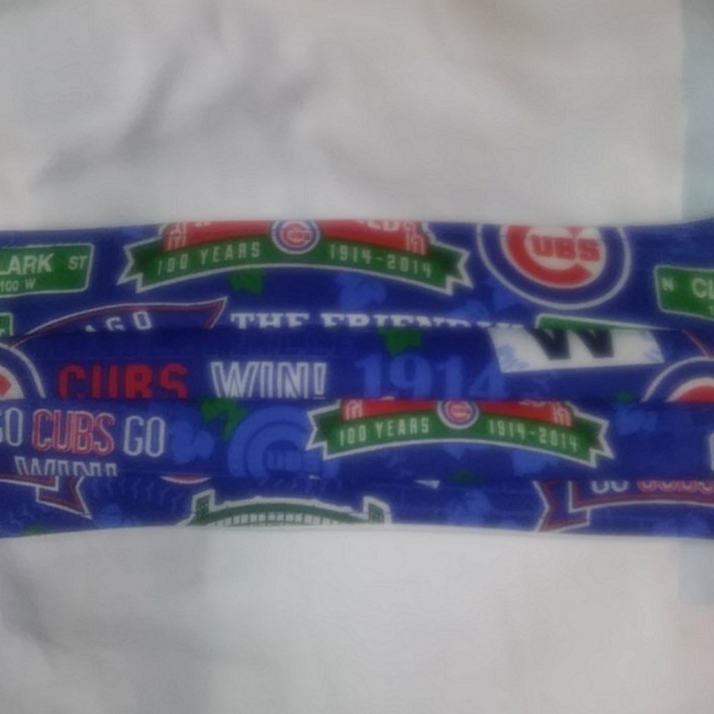 Protective face mask cubs